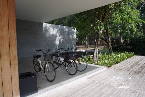 x2-kuiburi-new-logo_5780