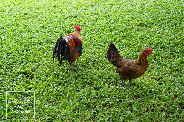 one-day-trip-%e0%b8%99%e0%b8%84%e0%b8%a3%e0%b8%9b%e0%b8%90%e0%b8%a1_9770